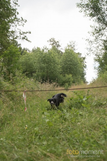 20160703_155159_D7C9661.jpg BCCB Wandeling Villers-La-Ville 2016 