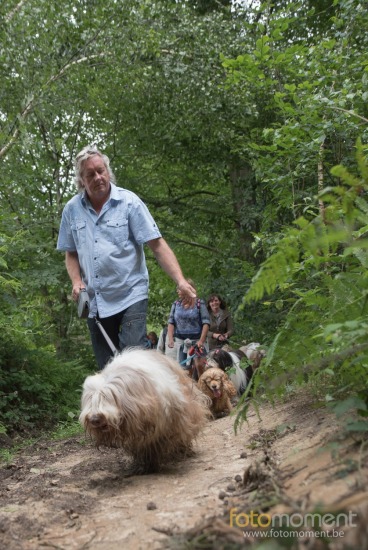 20160703_155626_D7C9674.jpg BCCB Wandeling Villers-La-Ville 2016 