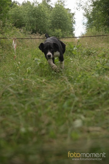 20160703_155159_D7C9663.jpg BCCB Wandeling Villers-La-Ville 2016 