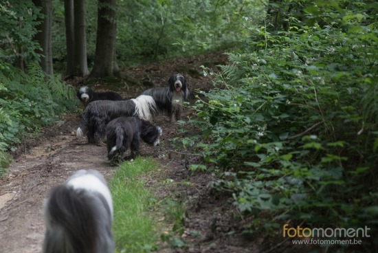 20160703_155454_D7C9669.jpg BCCB Wandeling Villers-La-Ville 2016 