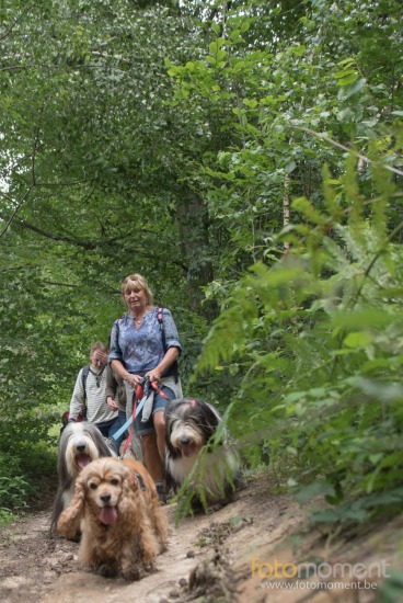20160703_155628_D7C9676.jpg BCCB Wandeling Villers-La-Ville 2016 