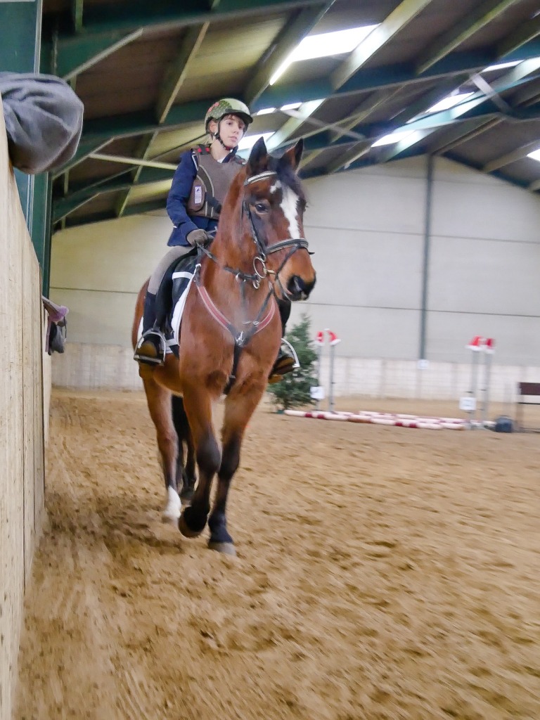 106.jpg EP Stables - Kerstjumping - Jumping de Noël 