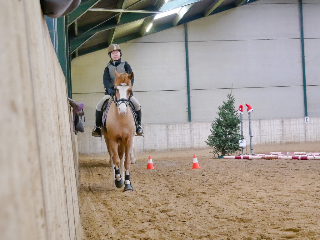 115.jpg EP Stables - Kerstjumping - Jumping de Noël 