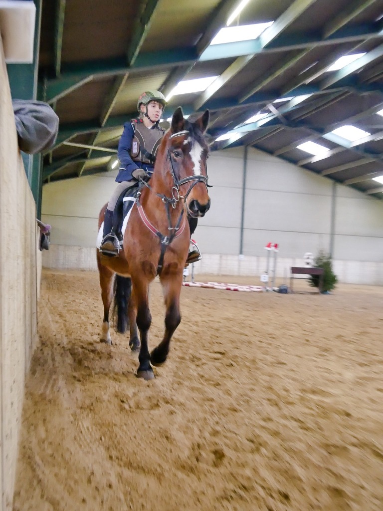 107.jpg EP Stables - Kerstjumping - Jumping de Noël 