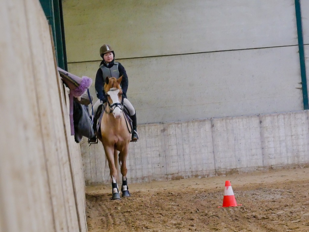 110.jpg EP Stables - Kerstjumping - Jumping de Noël 