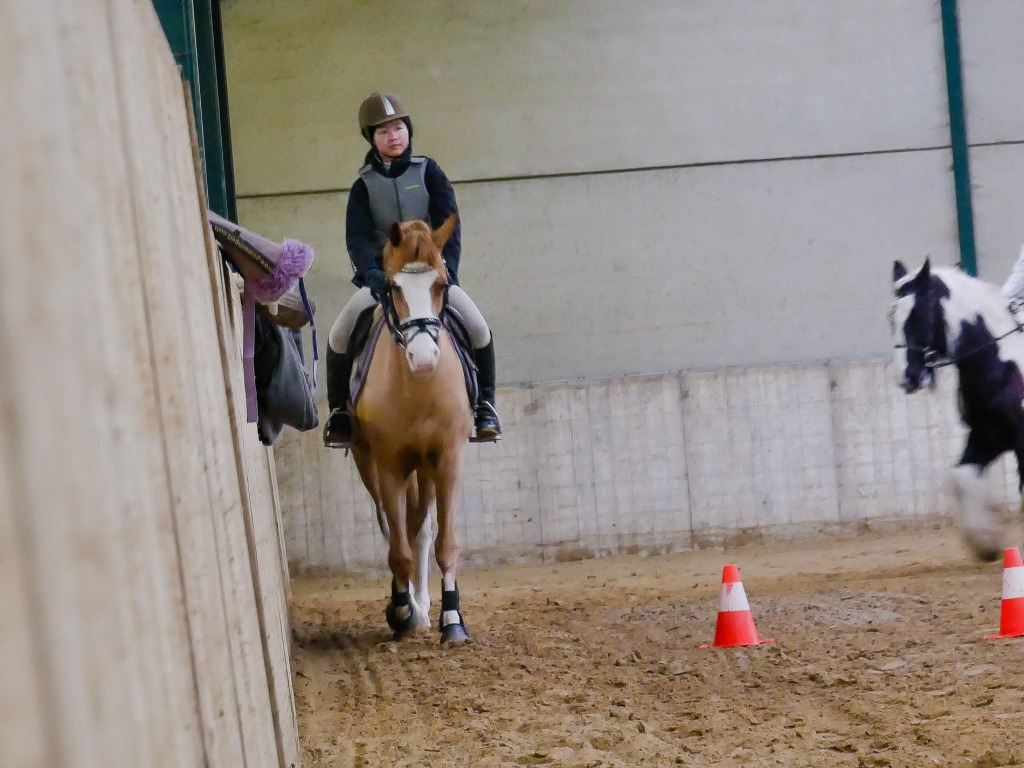 111.jpg EP Stables - Kerstjumping - Jumping de Noël 