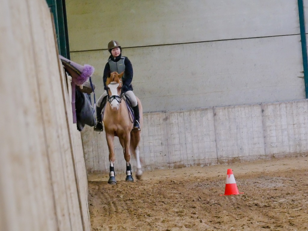 109.jpg EP Stables - Kerstjumping - Jumping de Noël 