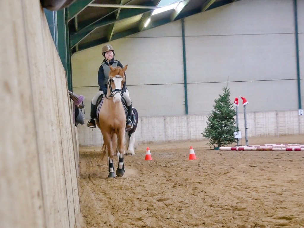 114.jpg EP Stables - Kerstjumping - Jumping de Noël 