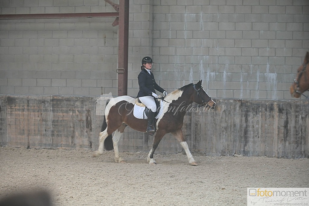 20211121_095827__D1C7785.jpg Challenge de Dressage Hiver IpSport 2021 