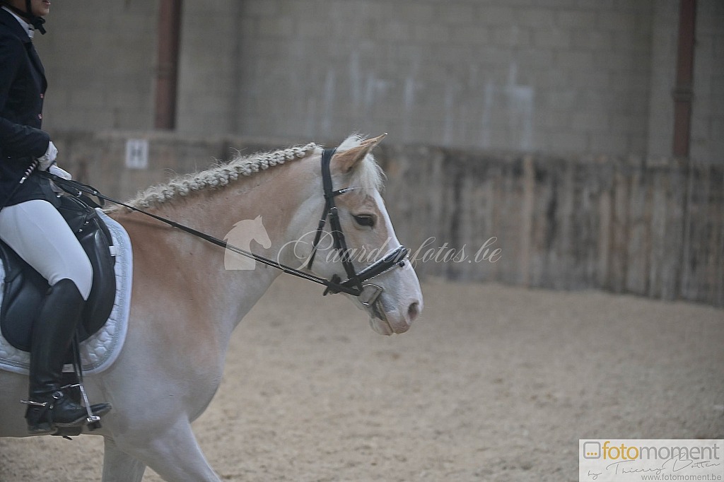 20211121_095849__D1C7792.jpg Challenge de Dressage Hiver IpSport 2021 