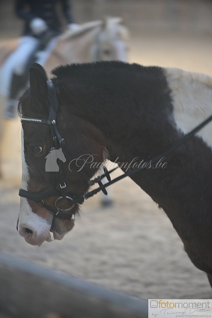 20211121_095841__D1C7790.jpg Challenge de Dressage Hiver IpSport 2021 