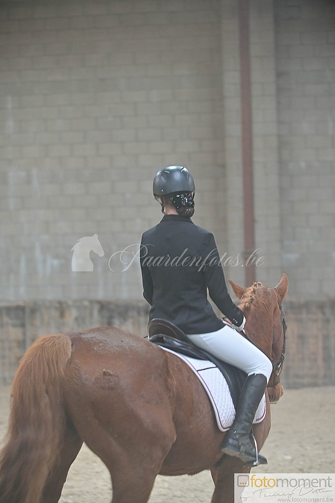 20211121_095823__D1C7783.jpg Challenge de Dressage Hiver IpSport 2021 