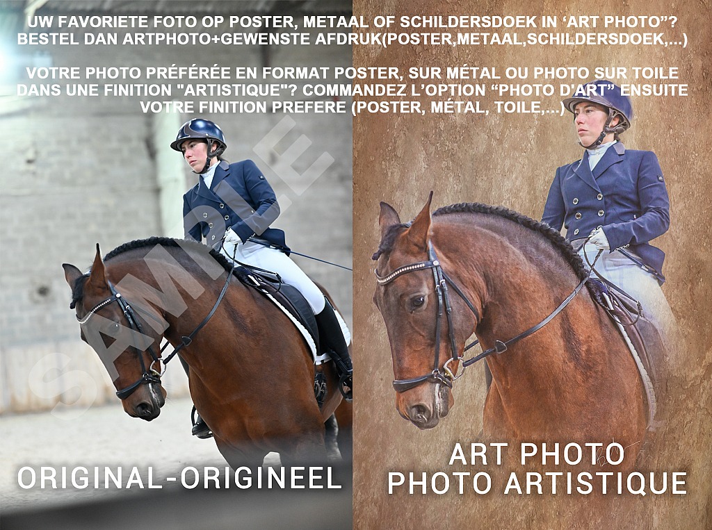 20211121_000000__D2C000.jpg Challenge de Dressage Hiver IpSport 2021 special,
