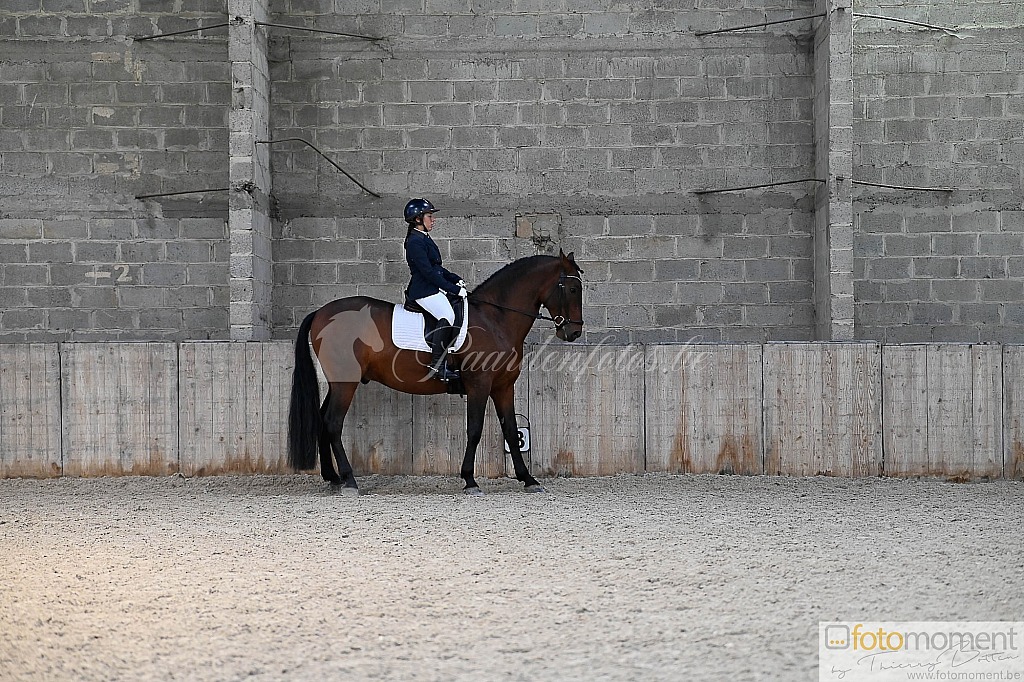 20211121_141445__D2C0050.jpg Challenge de Dressage Hiver IpSport 2021 