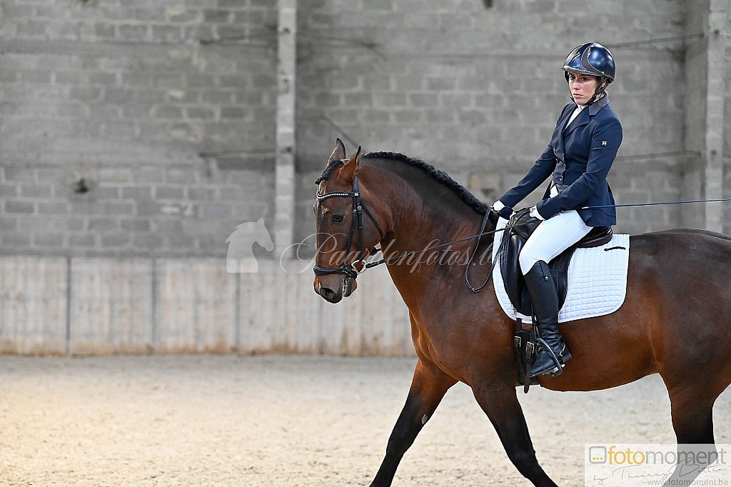 20211121_141352__D2C0033.jpg Challenge de Dressage Hiver IpSport 2021 