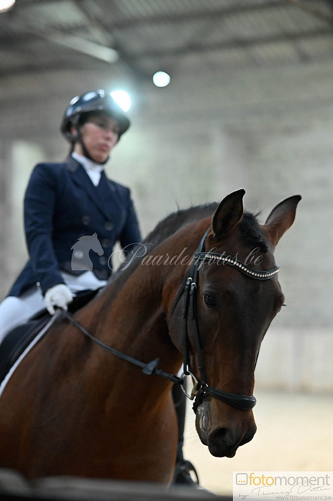 20211121_141355__D2C0038.jpg Challenge de Dressage Hiver IpSport 2021 
