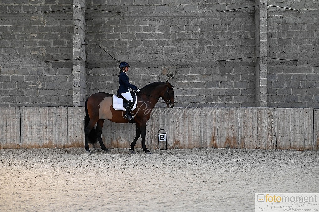 20211121_141446__D2C0052.jpg Challenge de Dressage Hiver IpSport 2021 