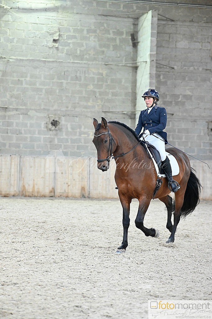 20211121_141414__D2C0043.jpg Challenge de Dressage Hiver IpSport 2021 