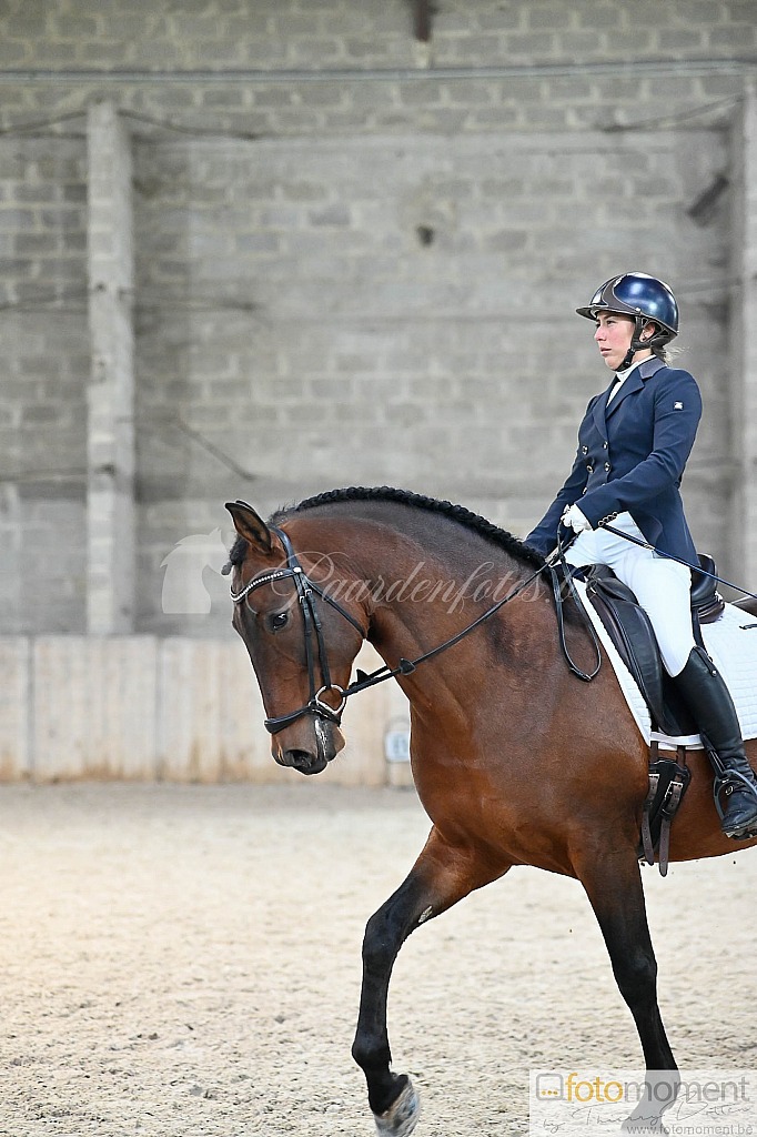 20211121_141415__D2C0047.jpg Challenge de Dressage Hiver IpSport 2021 