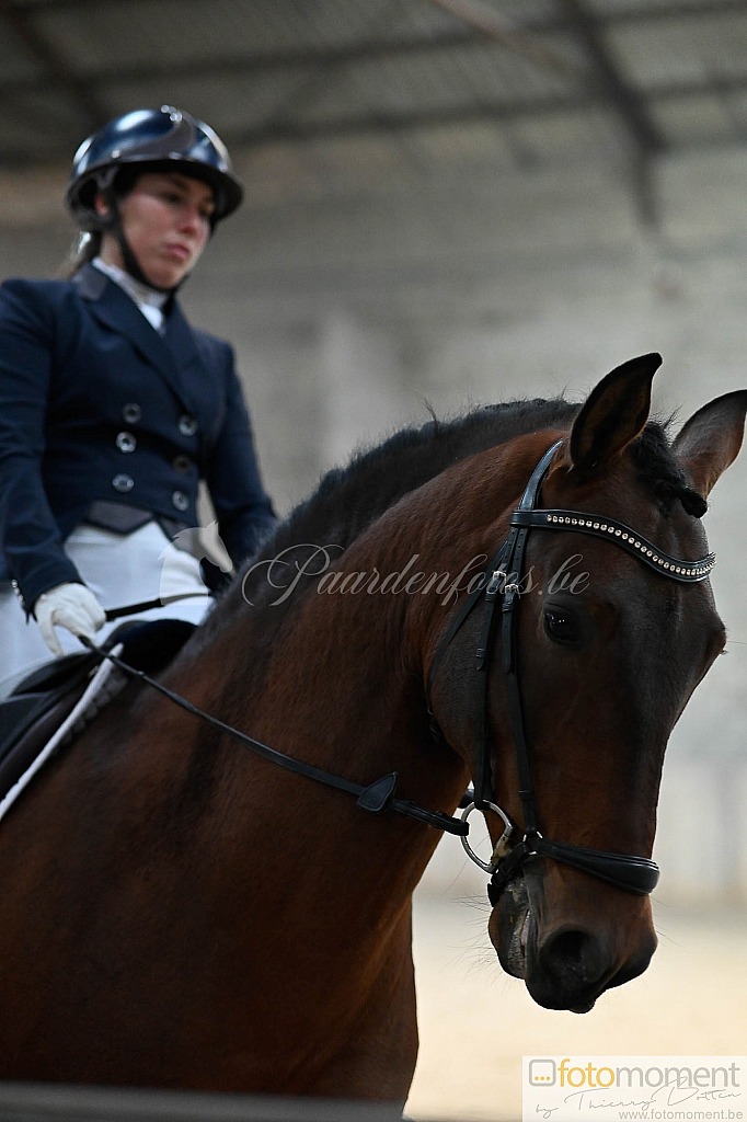 20211121_141356__D2C0039.jpg Challenge de Dressage Hiver IpSport 2021 