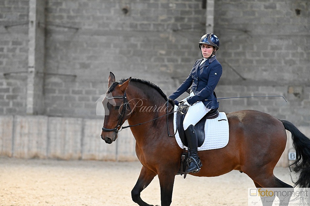 20211121_141353__D2C0034.jpg Challenge de Dressage Hiver IpSport 2021 