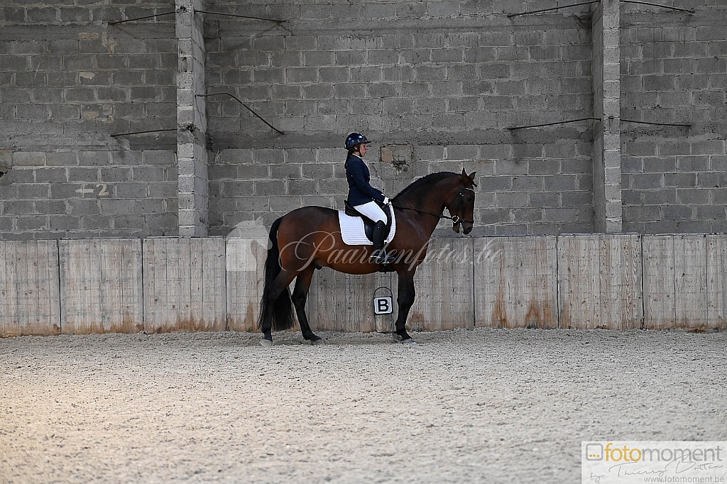 20211121_141440__D2C0049.jpg Challenge de Dressage Hiver IpSport 2021 