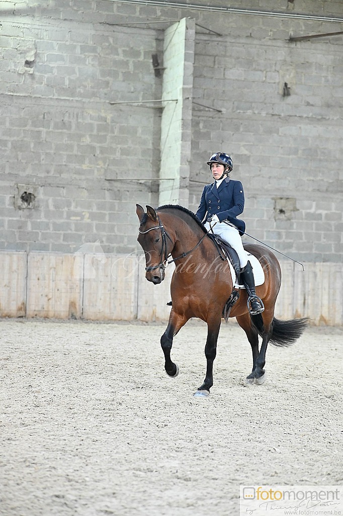 20211121_141414__D2C0042.jpg Challenge de Dressage Hiver IpSport 2021 