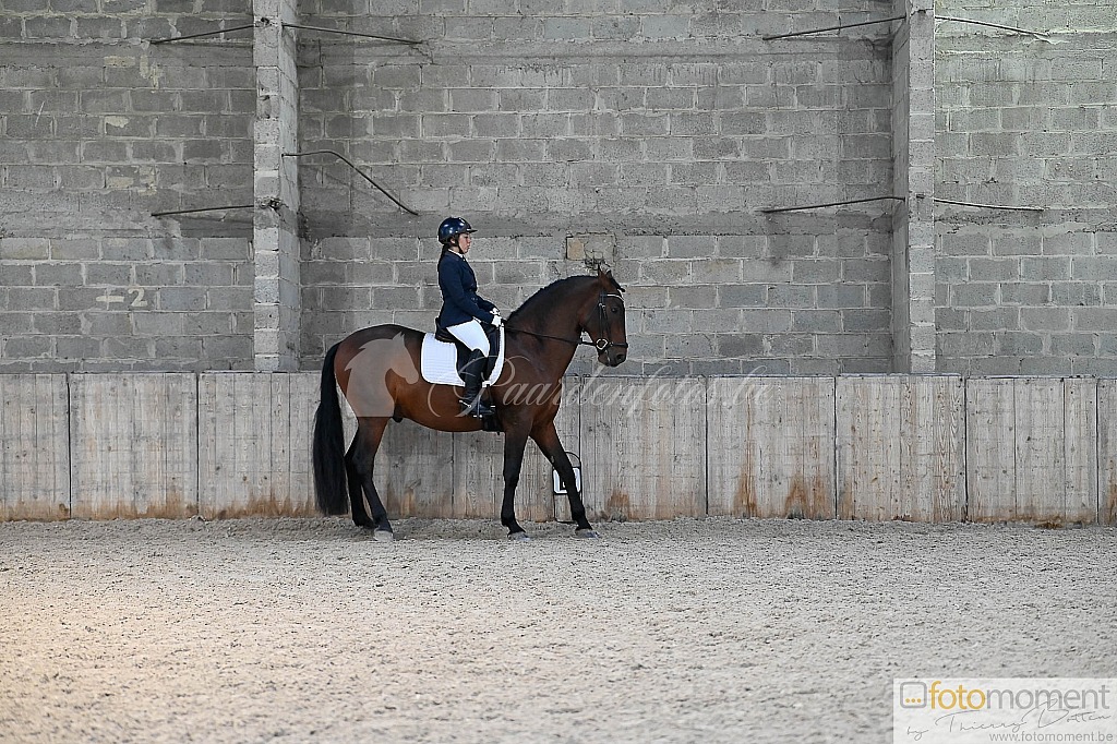 20211121_141445__D2C0051.jpg Challenge de Dressage Hiver IpSport 2021 