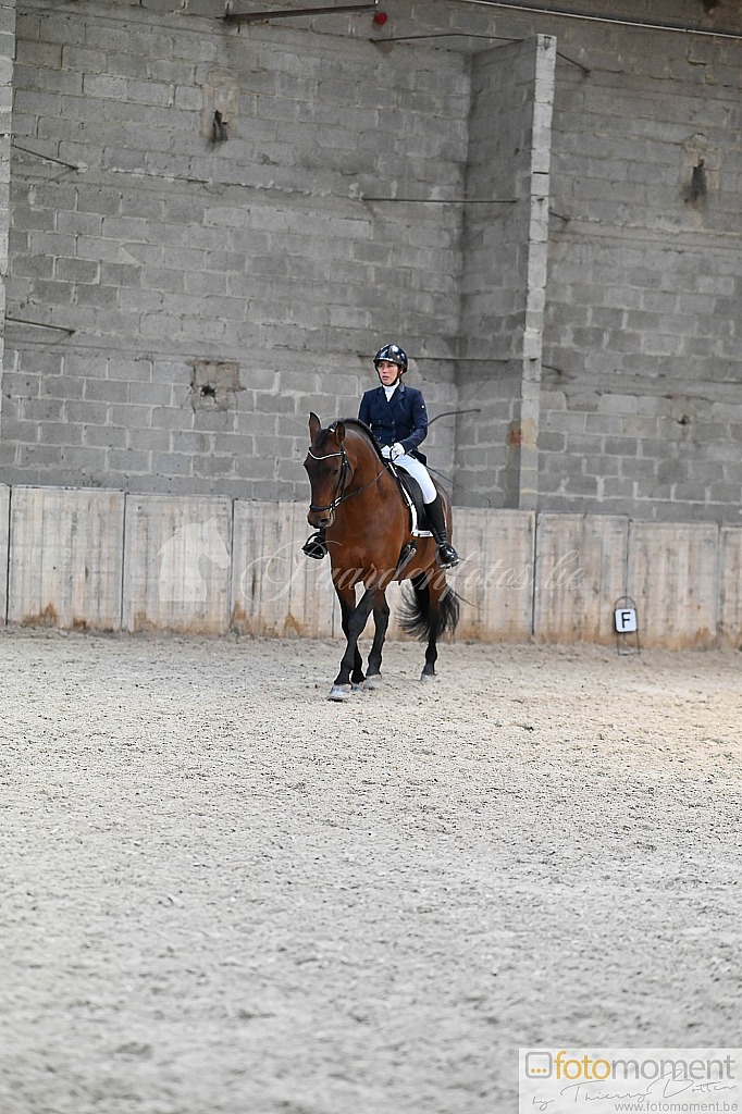 20211121_141412__D2C0040.jpg Challenge de Dressage Hiver IpSport 2021 