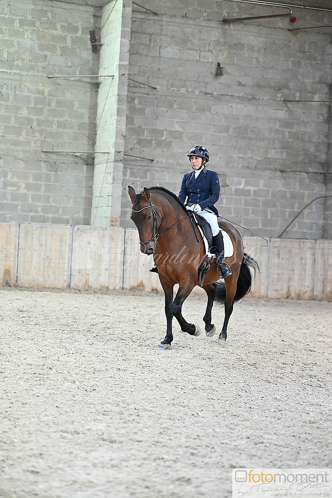 20211121_141413__D2C0041.jpg Challenge de Dressage Hiver IpSport 2021 