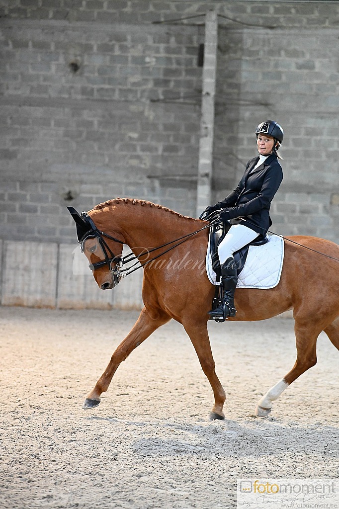 20211121_152226__D2C1256.jpg Challenge de Dressage Hiver IpSport 2021 