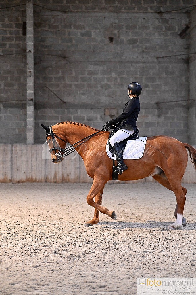 20211121_152152__D2C1239.jpg Challenge de Dressage Hiver IpSport 2021 