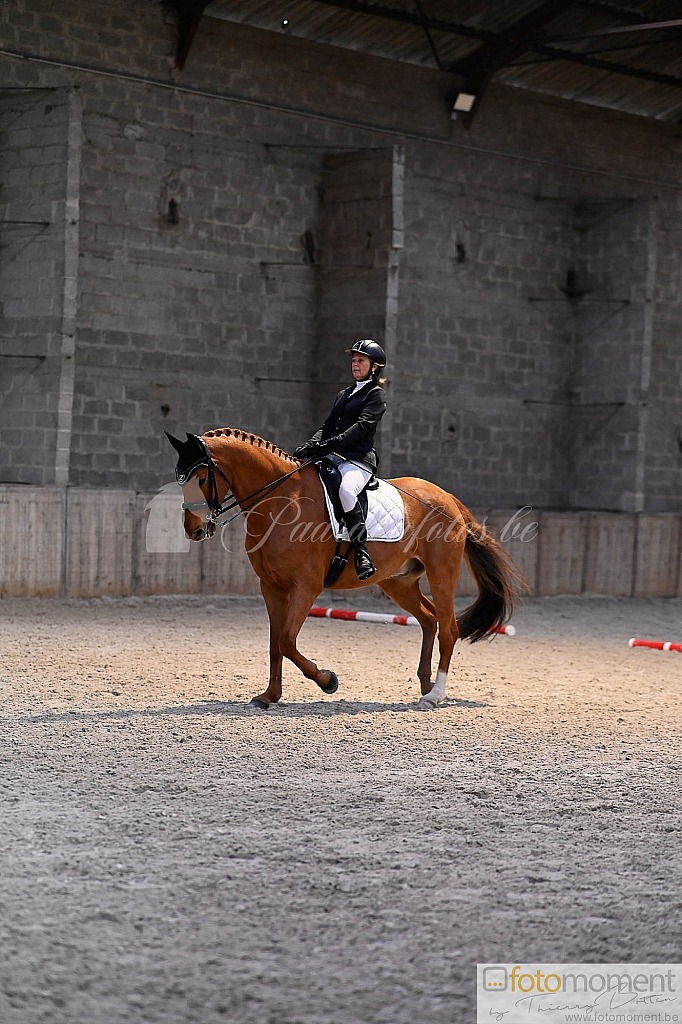 20211121_152205__D2C1243.jpg Challenge de Dressage Hiver IpSport 2021 