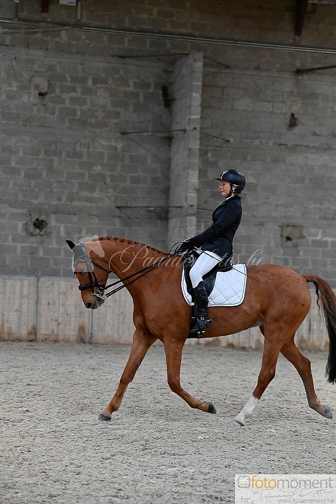 20211121_152207__D2C1245.jpg Challenge de Dressage Hiver IpSport 2021 
