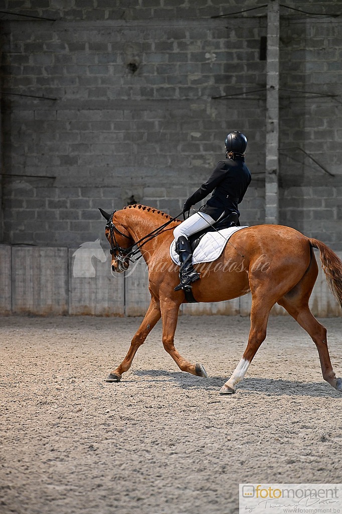 20211121_152153__D2C1240.jpg Challenge de Dressage Hiver IpSport 2021 