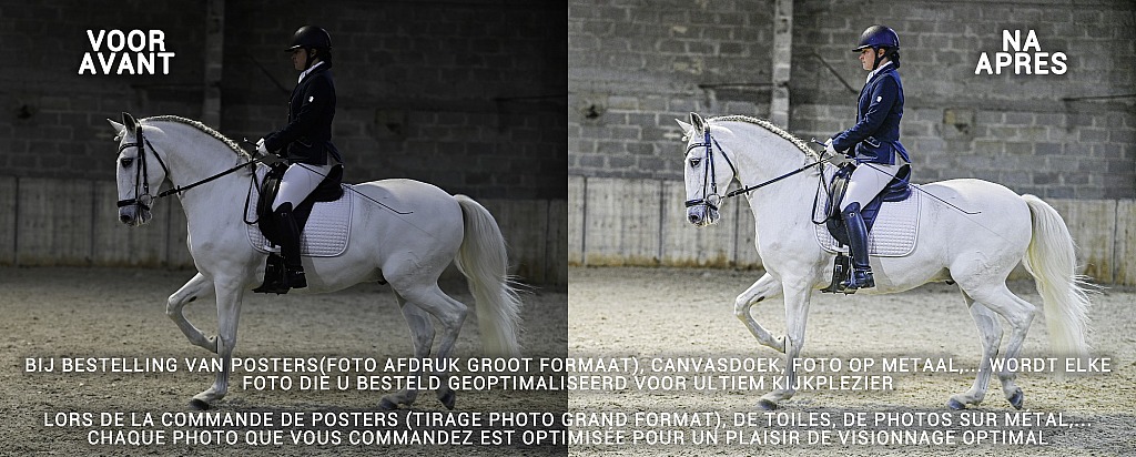 20211121_000000__D2C001.jpg Challenge de Dressage Hiver IpSport 2021 