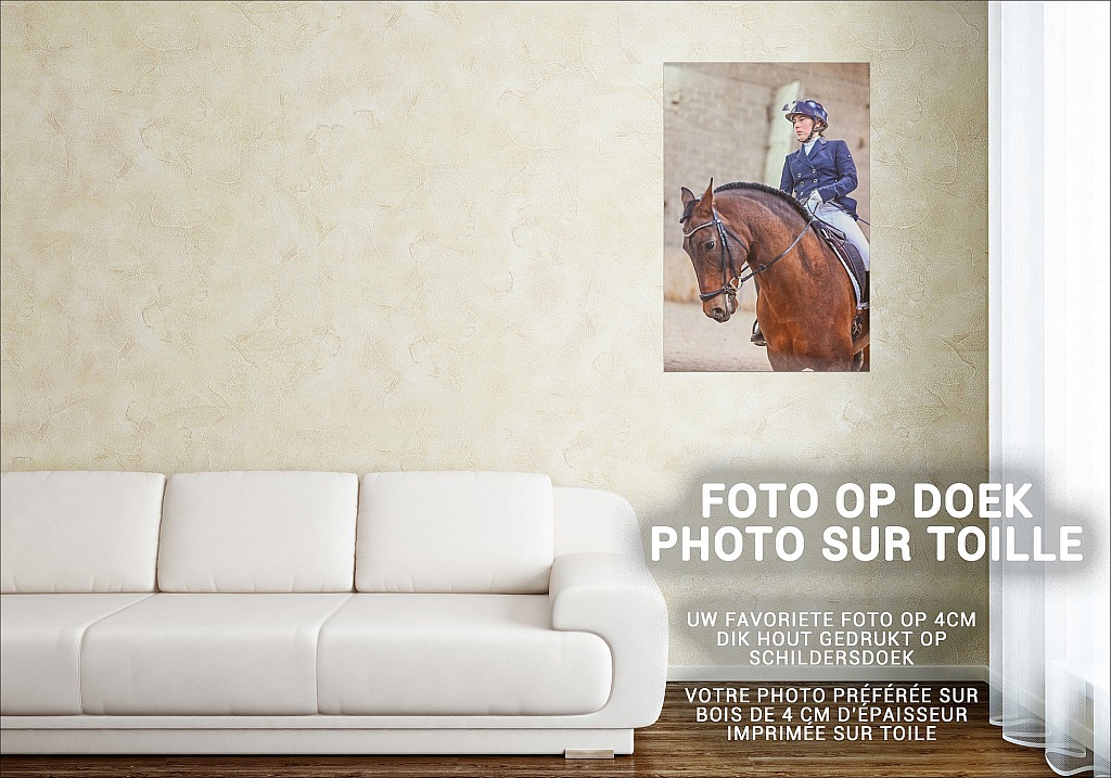 20211121_000000__D2C002.jpg Challenge de Dressage Hiver IpSport 2021 