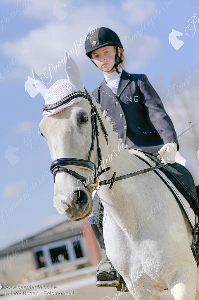 Photographe Fotograaf Equestre Paardenfotograaf Paardenfotos