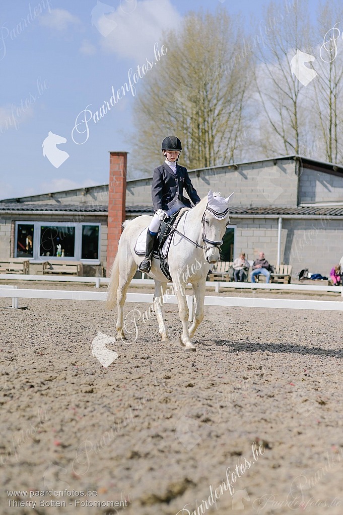 Photographe Fotograaf Equestre Paardenfotograaf Paardenfotos