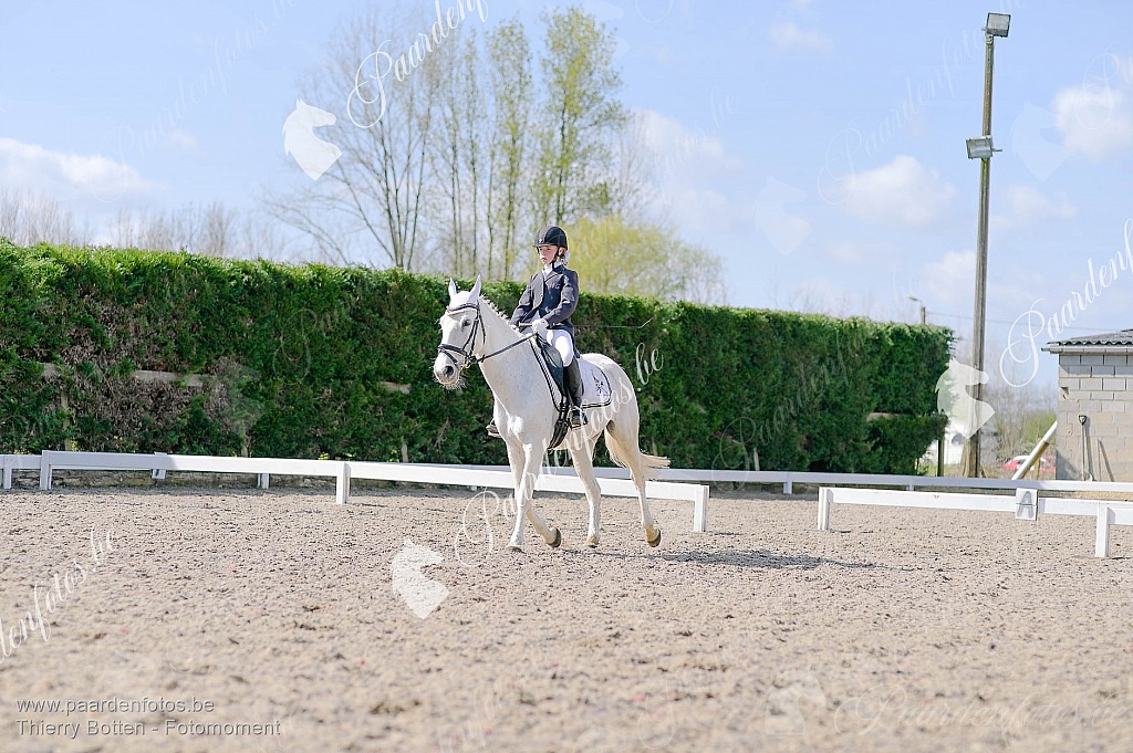 Photographe Fotograaf Equestre Paardenfotograaf Paardenfotos