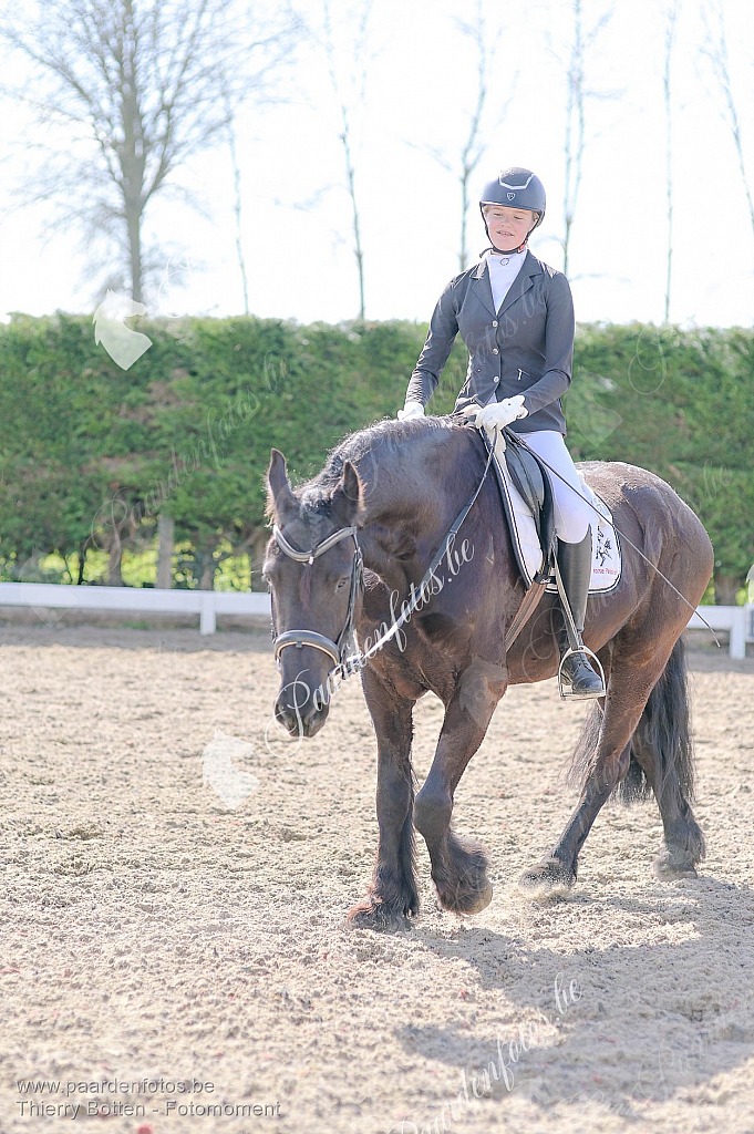 Photographe Fotograaf Equestre Paardenfotograaf Paardenfotos