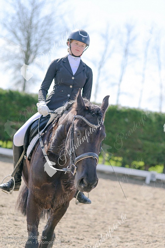 Photographe Fotograaf Equestre Paardenfotograaf Paardenfotos