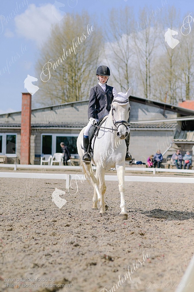 Photographe Fotograaf Equestre Paardenfotograaf Paardenfotos