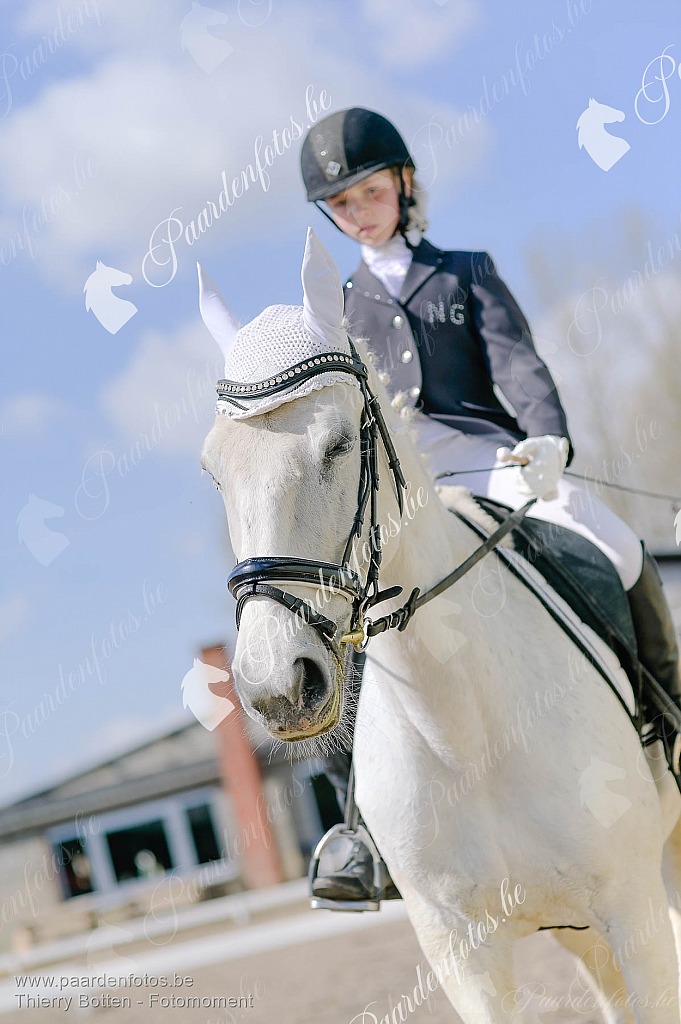 Photographe Fotograaf Equestre Paardenfotograaf Paardenfotos