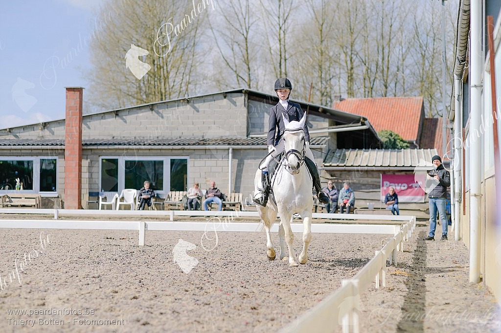 Photographe Fotograaf Equestre Paardenfotograaf Paardenfotos