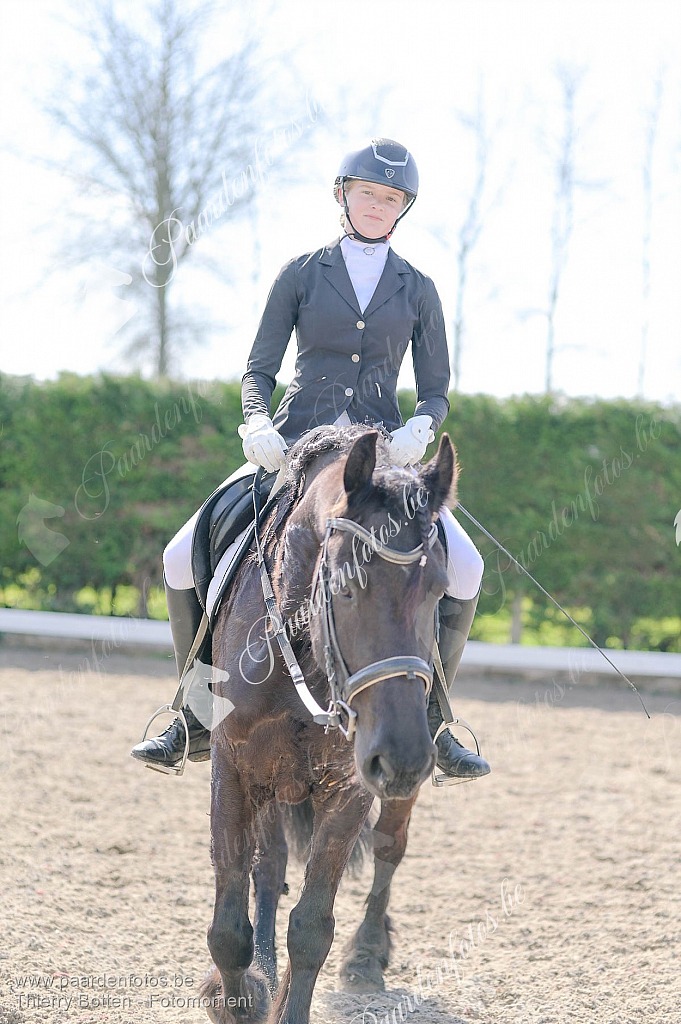 Photographe Fotograaf Equestre Paardenfotograaf Paardenfotos