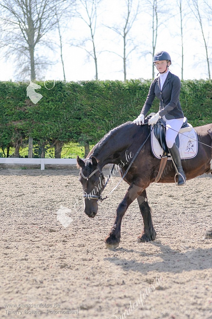 Photographe Fotograaf Equestre Paardenfotograaf Paardenfotos