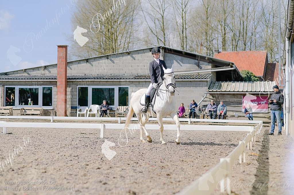 Photographe Fotograaf Equestre Paardenfotograaf Paardenfotos